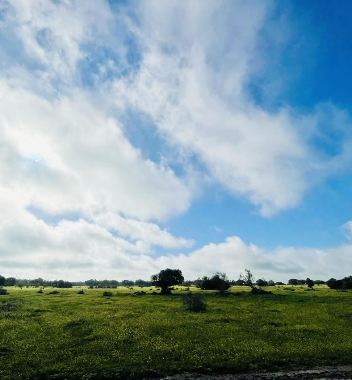 Sky and land